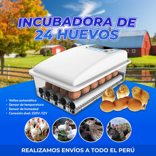 INCUBADORAS DE POLLLO DE 24 HUEVOS